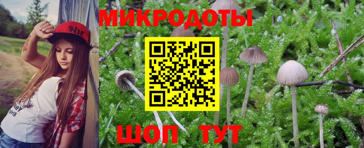 что такое   Псилоцибиновые грибы Psilocybine cubensis  Псилоцибиновые грибы мухоморы  Вход с VPN  Михайловск 